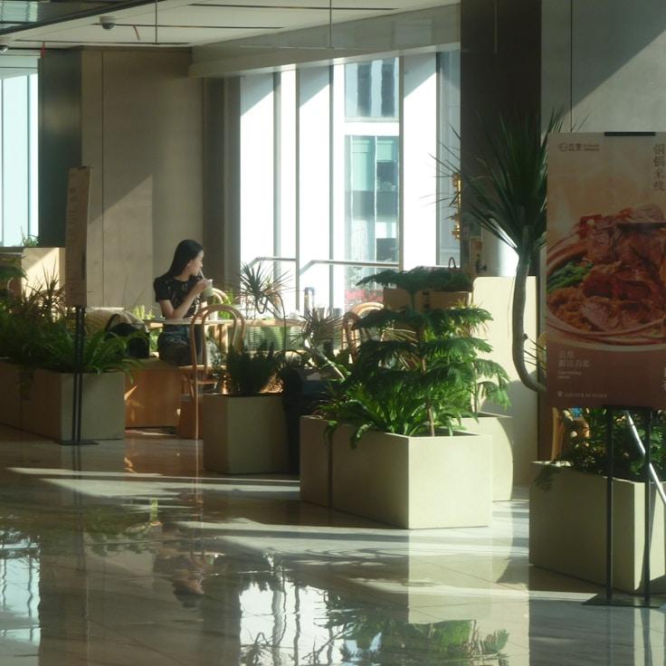 Dining out as an expat family in United States