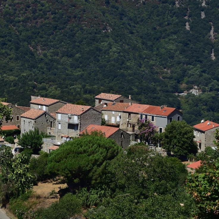 Outdoor terrace seating suitable for families in New York